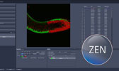 Zeiss Zen Blue