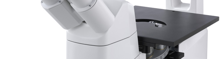 Axio Vert.A1 Stative