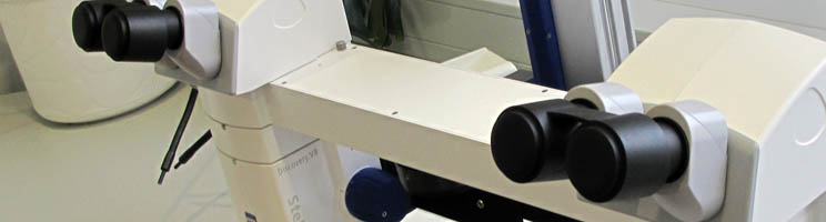 SteREO Discovery Mikroskoptuben + Zwischentuben