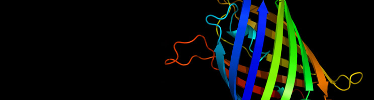 Green Fluorescence Protein