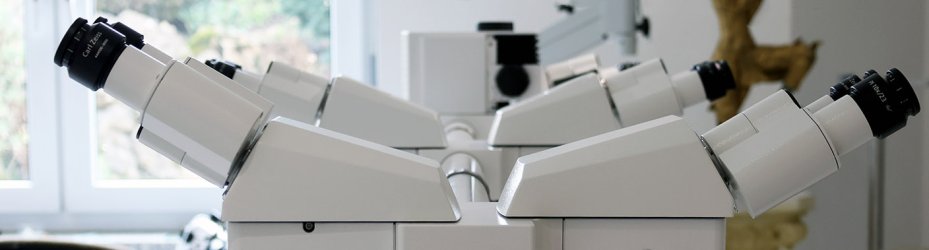 Axiolab 5/7 Multidiskussion / Mitbeobachter