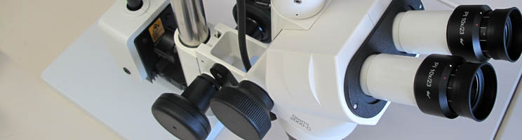 Stemi 2000 (bis 2015)