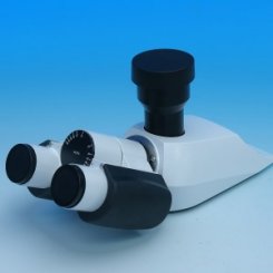 Binokularer Fototubus 30°/20 (50:50), umgekehrtes Bild 