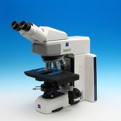 Mikroskop Axio Scope.A1 HAL 50 für Durchlicht-Hellfeld, Ergonomieausrüstung 