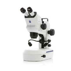 ZEISS  Stemi 508 Mikroskop-Set mit Stativ K Lab, Einzel-/Doppelspot- und Ringleuchte K LED 