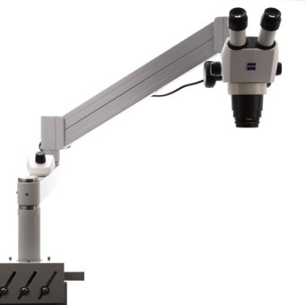 ZEISS Stereomikroskop Stemi 305 trino für große Objekte – mit Stativ U und Ringleuchte K LED 