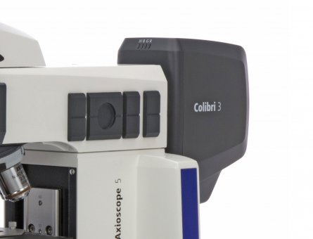 Festkörperlichtquelle Colibri 3, Ausführung GB-UV 