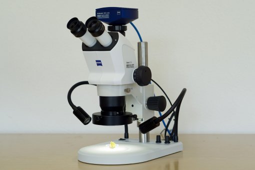 Stereomikroskop Stemi 508 doc mit Axiocam 305c und MikstaUSBpro und Ringlicht 