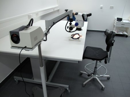 ZEISS Stemi 508 doc Mikroskop mit P+L Bodenstativ, Senkrecht-Beleuchtung LED & Kamera 