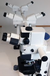 ZEISS Mikroskop Axioscope 5 für 4 Mitbeobachter 