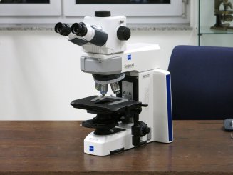 Mikroskop Axio Scope.A1 HAL 50 für Durchlicht-Hellfeld und Phasenkontrast Ph2 mit Ergofototubus 