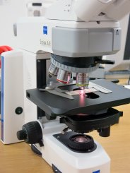 Mikroskop Axio Scope.A1 LED für Durchlicht-Hellfeld, Ergonomieausrüstung 