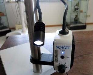 EasyLED Spotlight Plus mit einem Spot 