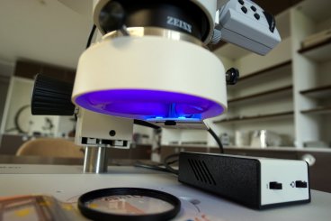 HF-Ringlicht--Beleuchtung UV 