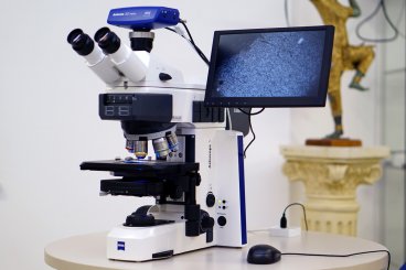 ZEISS Mikroskop Axioscope 5 mit Colibri AL-FL mit LED-DL, Kamera und Bildschirm 